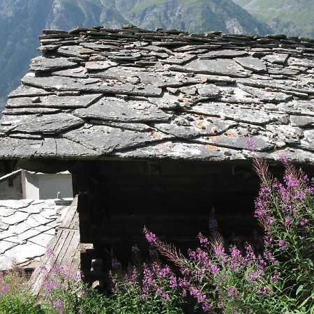 Alpia 26 - Zwei Zimmerwohnung In Traditionellem Walliser Haus Gasenried Zewnętrze zdjęcie